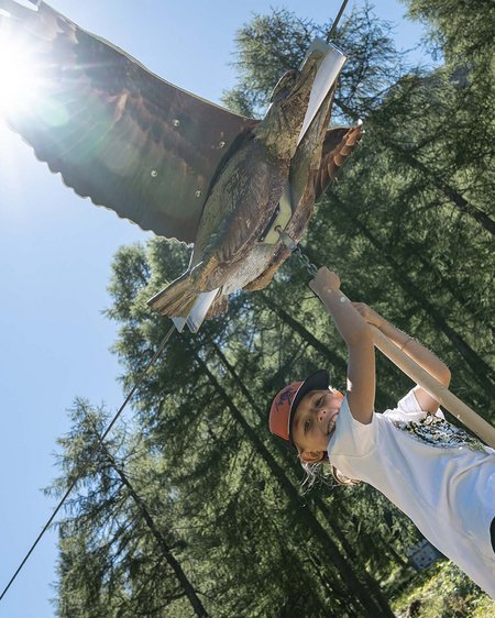 Sommererlebnisse mit der Familie Sommererlebnisse mit der Familie