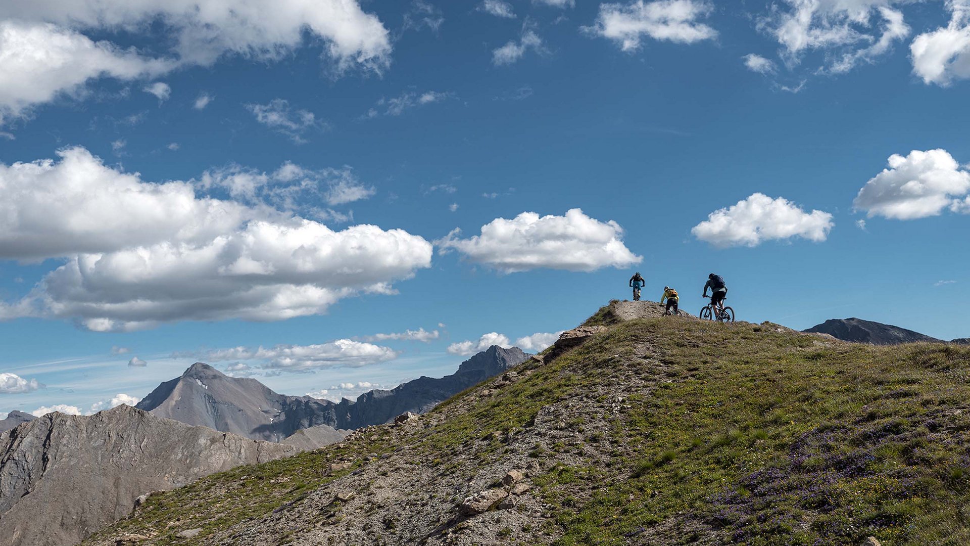 Biken rund ums Smart Hotel Biken rund ums Smart Hotel