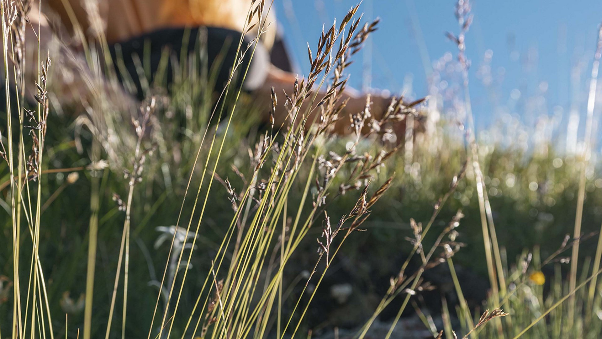 Samnaun: wandern im Sommer Samnaun: wandern im Sommer